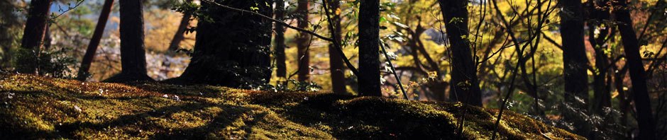 Wupo's Blog